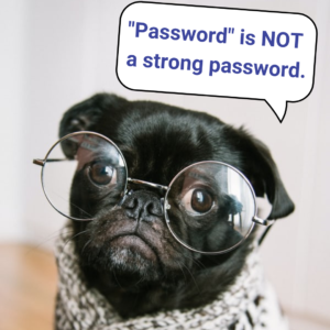 Password is not a strong password. Dog Giving Password Tips