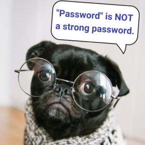 Dog with glasses Giving Password Tips