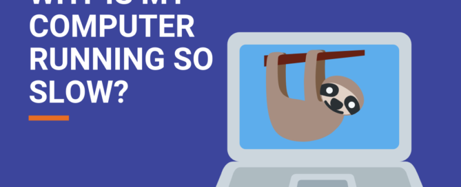 sloth on computer