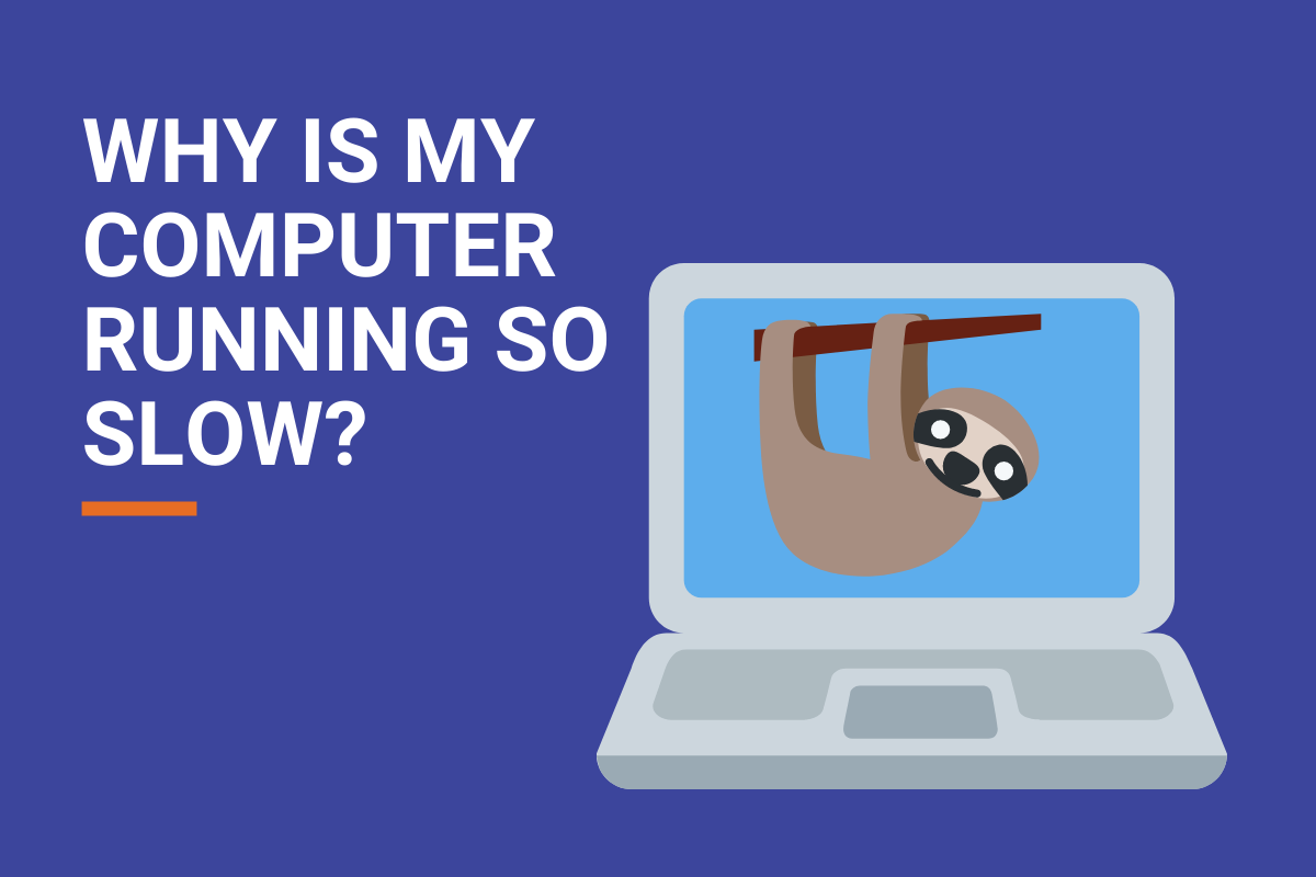 sloth on computer